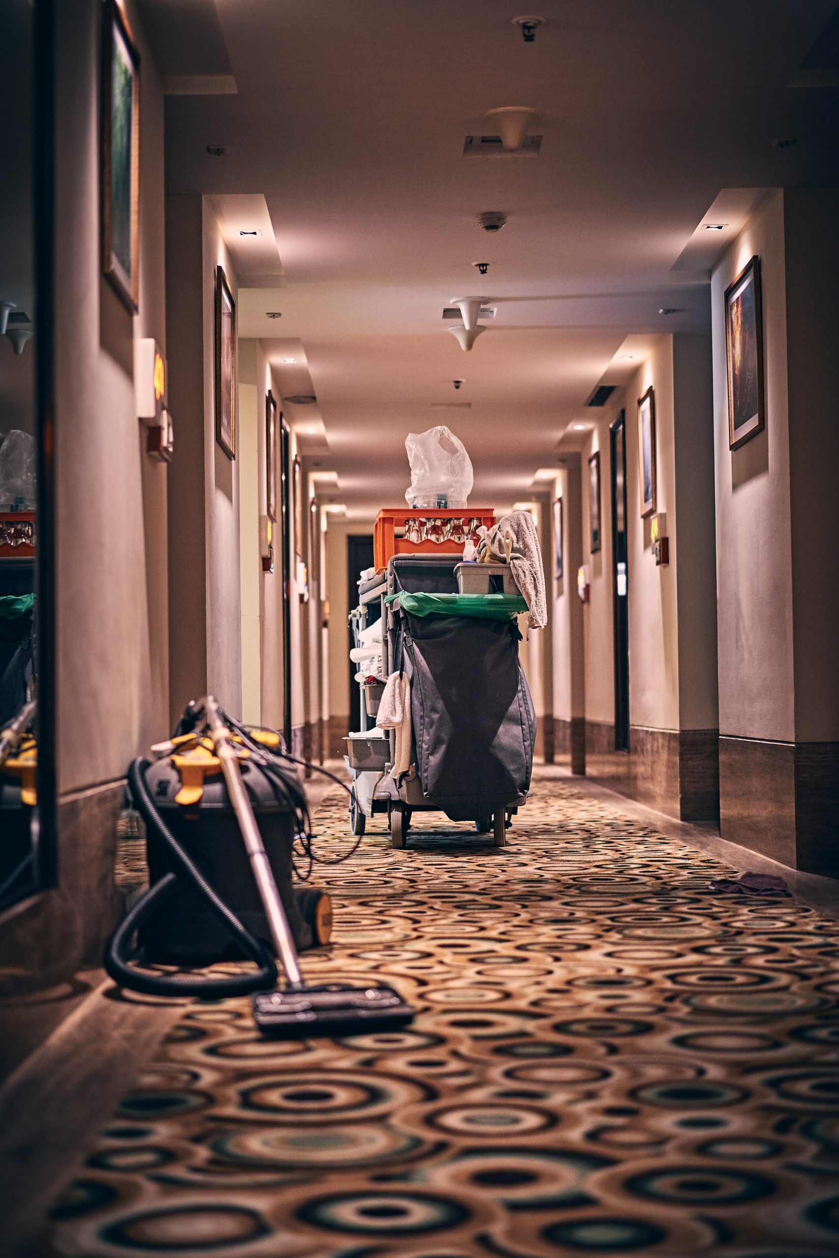 Carpet Cleaning 3