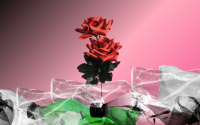 Quantity vs. Quality: Backlinking for Long-term Organic Results