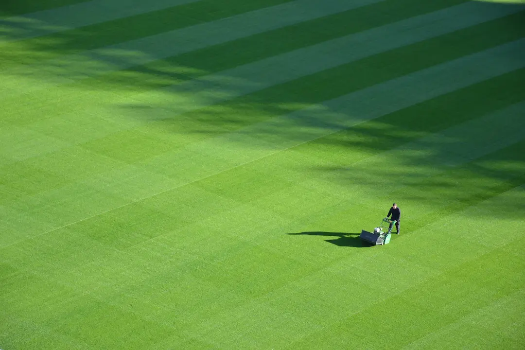 Lawn-Doctor-2-scaled