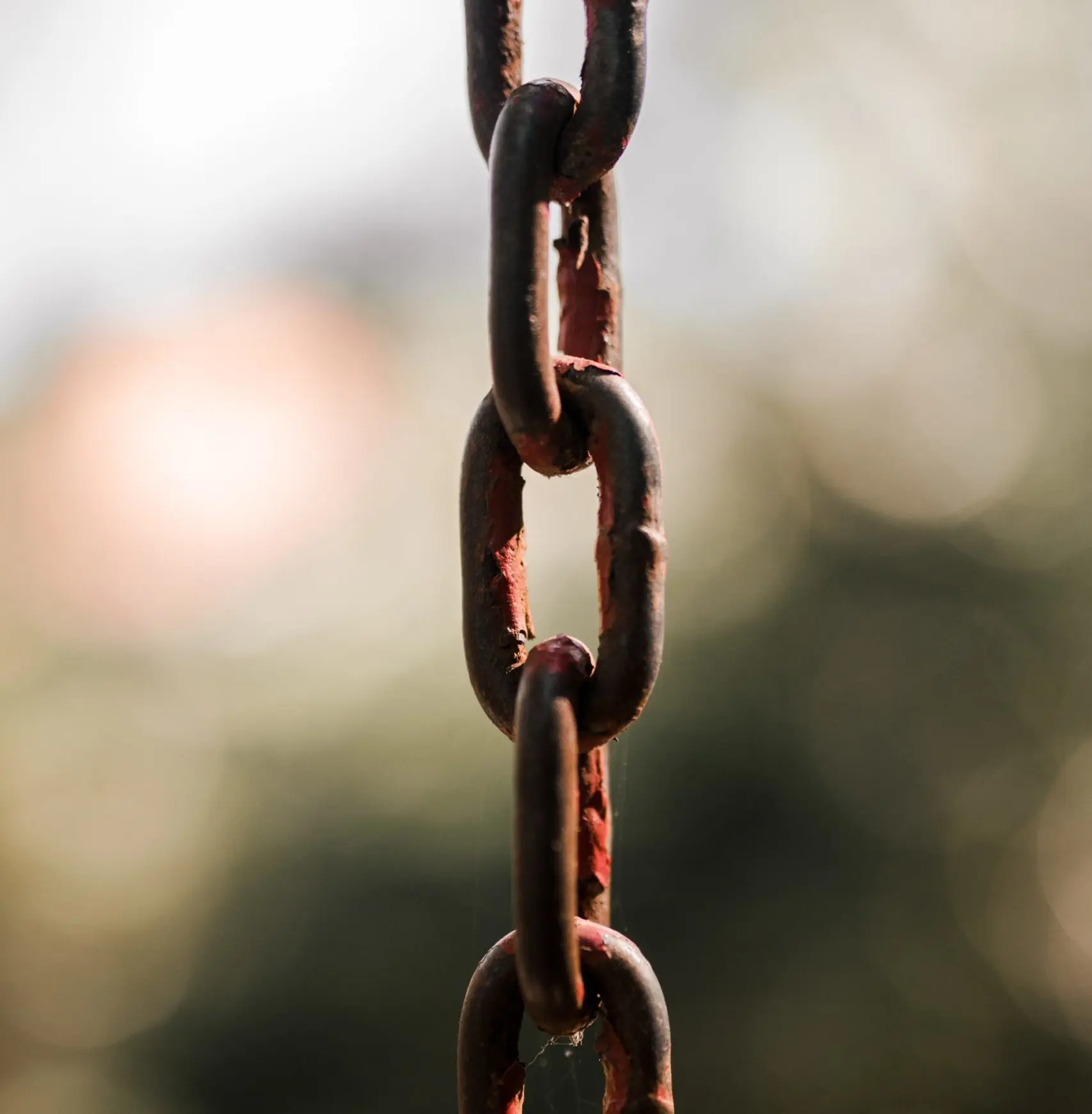 Link-Building-4-scaled-e1629228637427